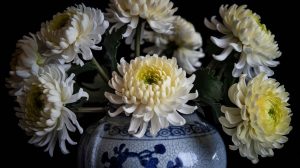 Professional still life of white and yellow chrysanthemums, traditional Chinese ceramic vase, dramatic studio lighting, soft shadows, ultra detailed flower photography, elegant composition, black background, museum quality photograph